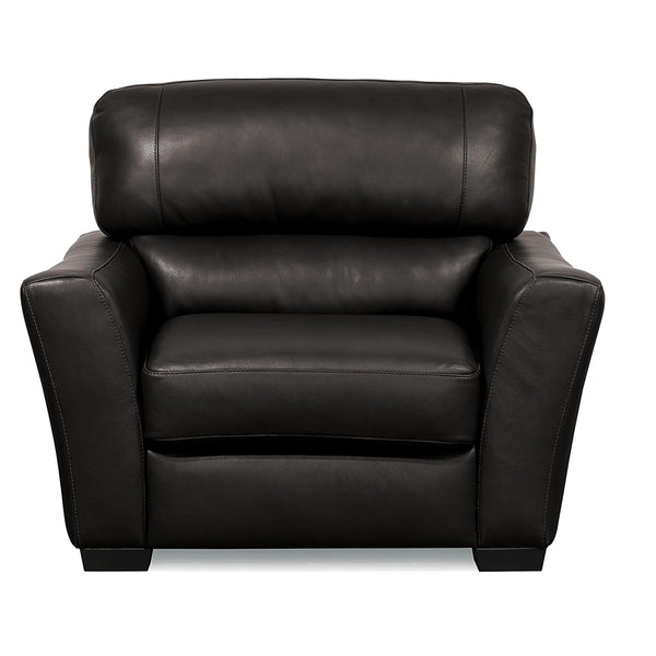 Palliser Teague Stationary Leather Chair 77888-02-GRADE300-RAVEN IMAGE 1