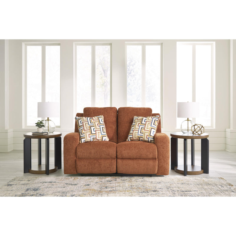 Signature Design by Ashley Danum Stationary Loveseat 3880786C IMAGE 6