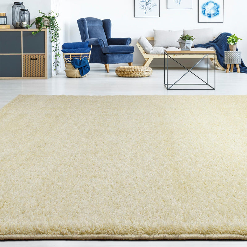 Kalora Interiors Rugs Rectangle 12500/10 160230 IMAGE 14