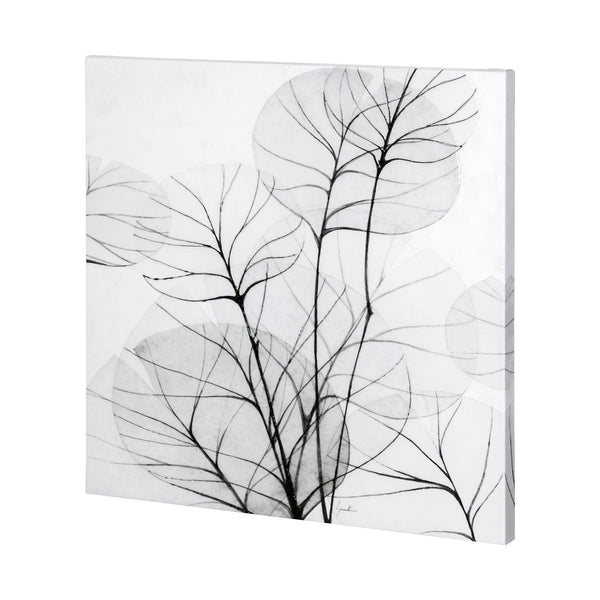 Mercana Home Decor Wall Art 101107-L IMAGE 1