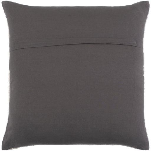 Surya Decorative Pillows Decorative Pillows AAO001-2020P IMAGE 2