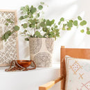 Surya Home Decor Planters AGI-002 IMAGE 10