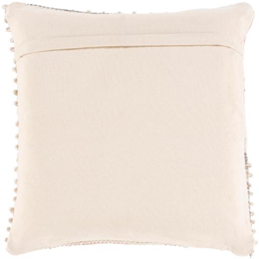 Surya Decorative Pillows Decorative Pillows AEO001-2020P IMAGE 2