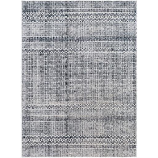 Surya Rugs Rectangle ALC2311-6109 IMAGE 1