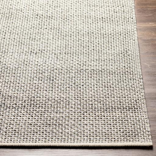 Surya Rugs Rectangle AZA2305-576 IMAGE 4