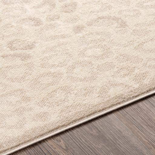 Surya Rugs Rectangle CYL2339-679 IMAGE 4