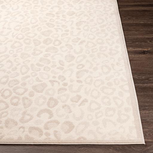 Surya Rugs Rectangle CYL2339-679 IMAGE 6