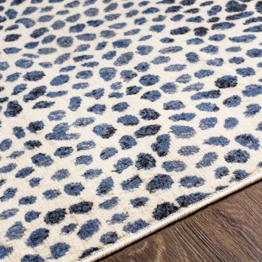 Surya Rugs Rectangle CYL2345-5373 IMAGE 7