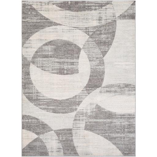 Surya Rugs Rectangle CHE2325-679 IMAGE 1