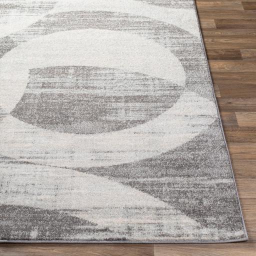 Surya Rugs Rectangle CHE2325-679 IMAGE 5