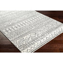 Surya Rugs Rectangle CFU2302-576 IMAGE 2