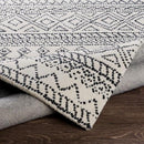 Surya Rugs Rectangle CFU2302-576 IMAGE 3