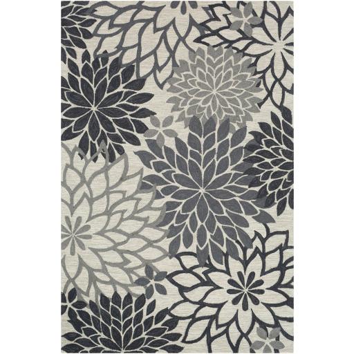 Surya Rugs Rectangle RAI1281-58 IMAGE 1