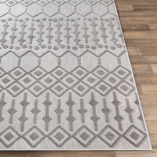 Surya Rugs Rectangle BSR2309-5373 IMAGE 3