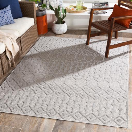 Surya Rugs Rectangle BSR2309-5373 IMAGE 6