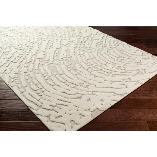 Surya Rugs Rectangle OAA1001-576 IMAGE 2