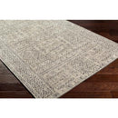Surya Rugs Rectangle OAA1009-576 IMAGE 2