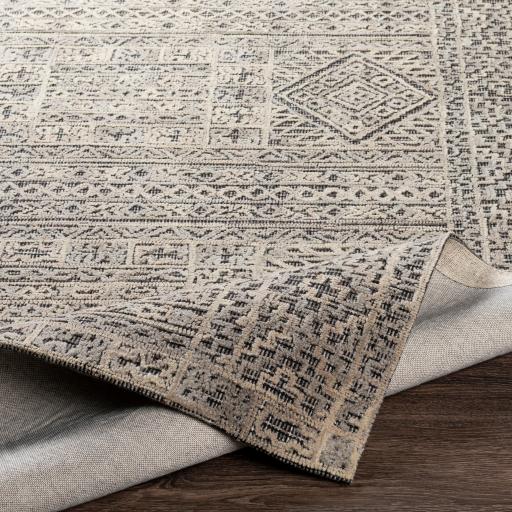 Surya Rugs Rectangle OAA1009-576 IMAGE 3