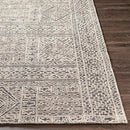 Surya Rugs Rectangle OAA1009-576 IMAGE 4